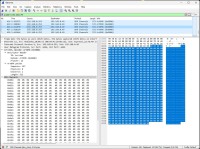 Wireshark Screenshot