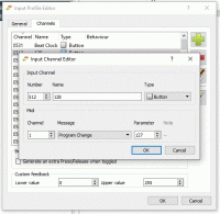 input profile editor details.gif